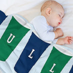 Endicott Gulls Tapestry Premium Throw Blanket