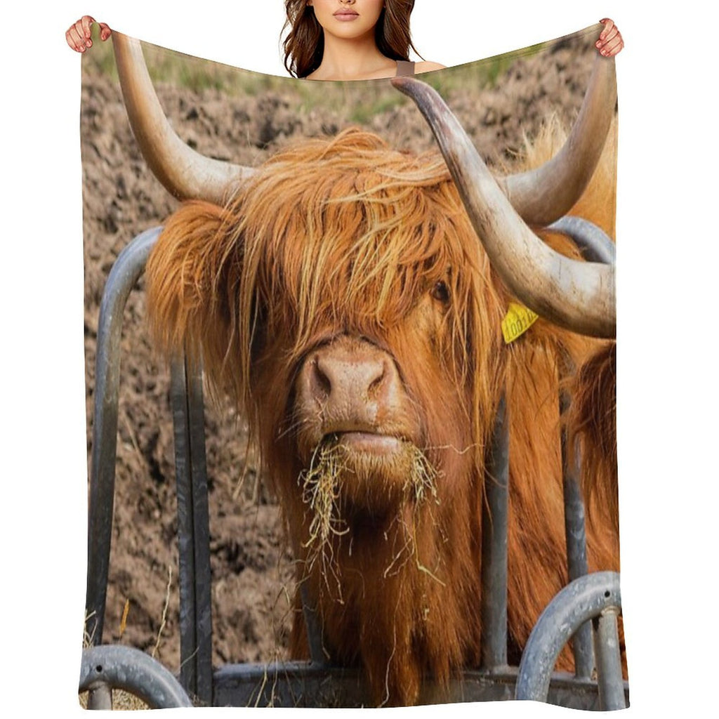 Cute Hungry Ginger Scottish Highland Cow Versatility Throw Blanket
