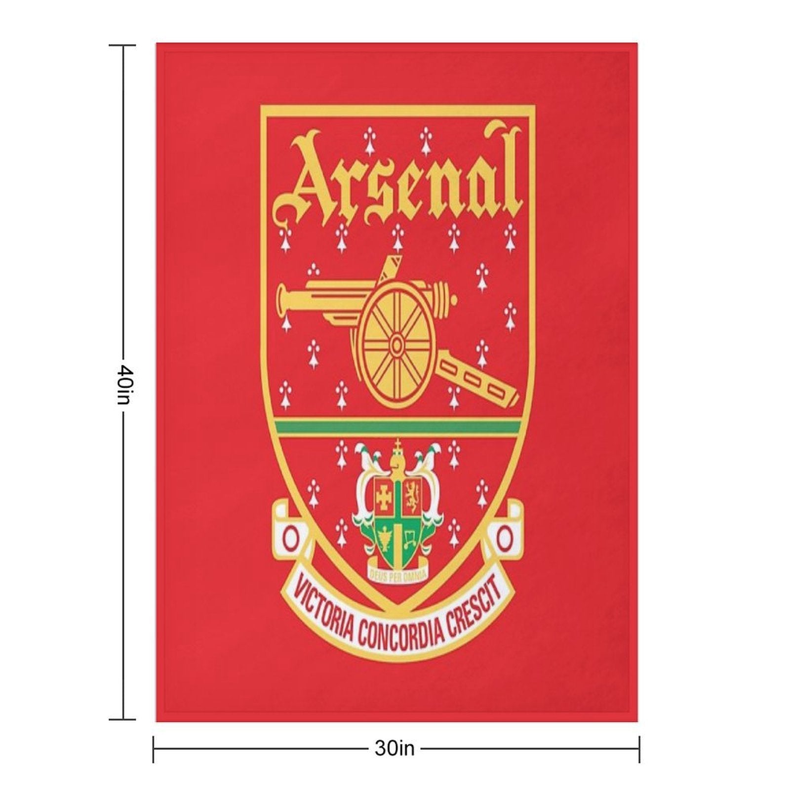 2002 Logo Plush Throw Blanket