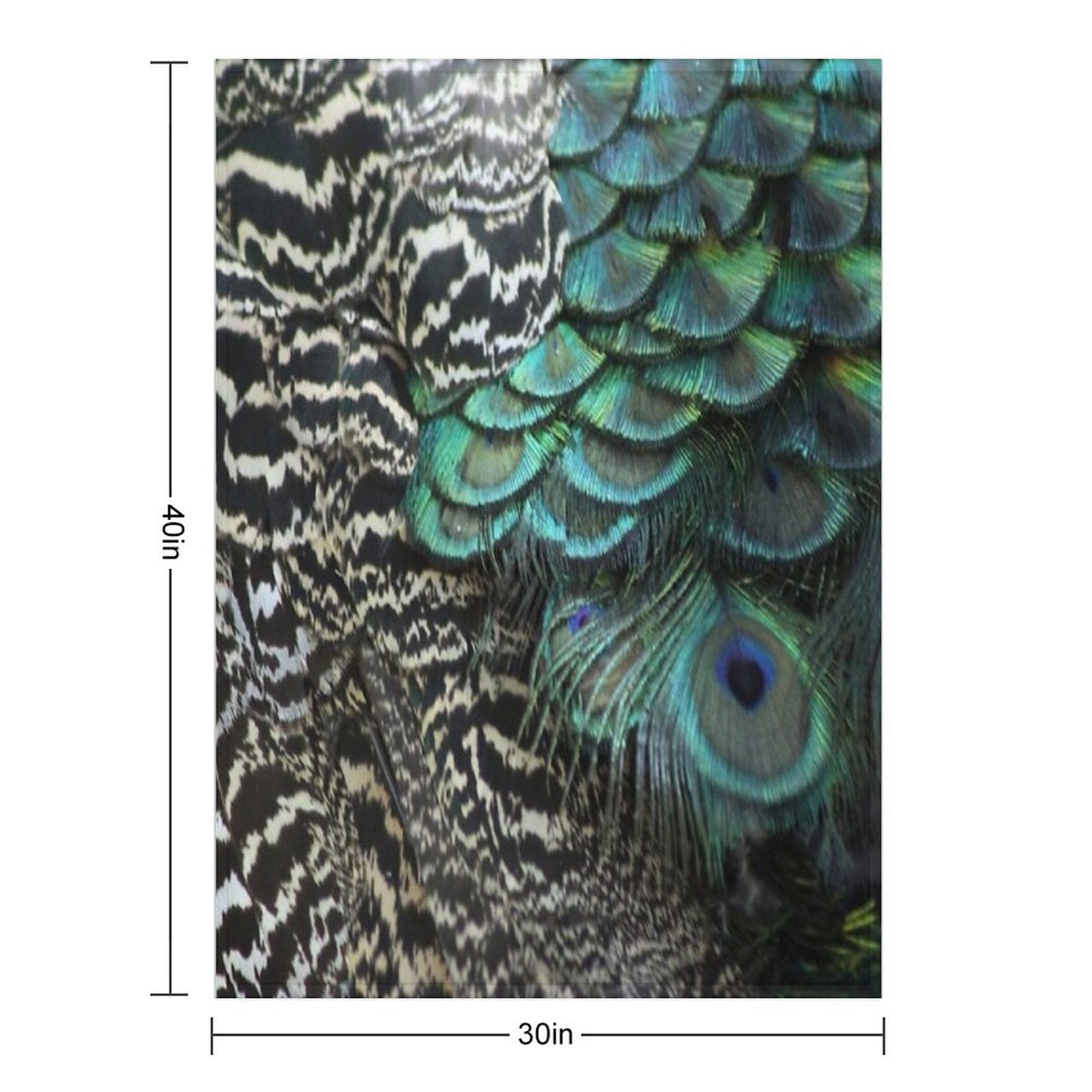 Peacock Bird Feathers Plumage Texture 1 Plush Throw Blanket