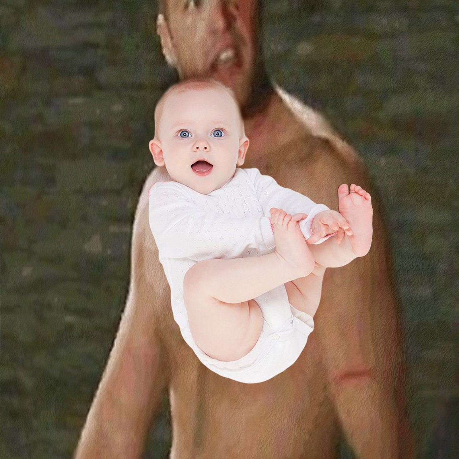 CT - MTV The Challenge Smash His Head And Eat It Wrinkle-free Throw Blanket