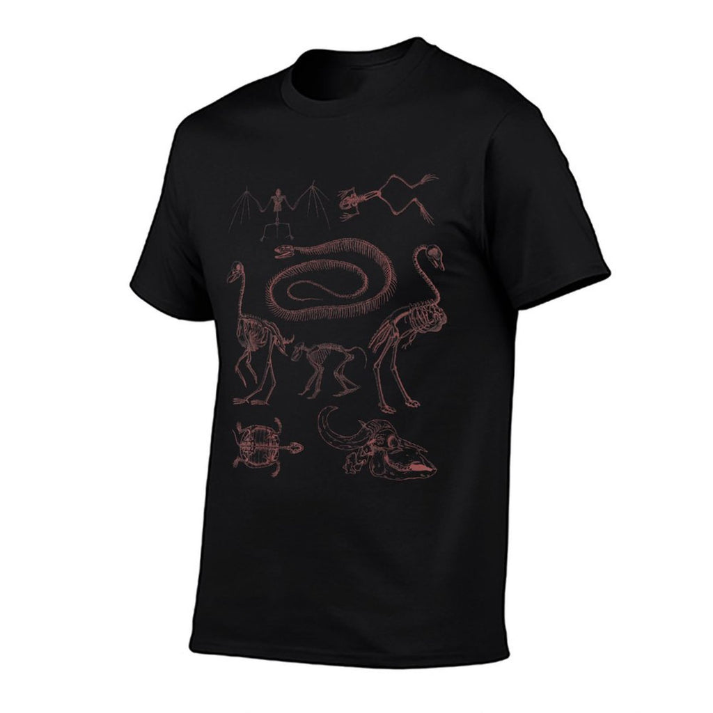Animal Skeleton Clothing Goblincore Aesthetic Gothic Skull  Rolled Sleeves T-Shirt
