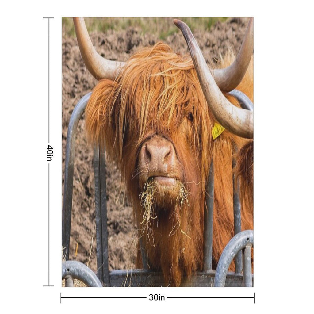 Cute Hungry Ginger Scottish Highland Cow Versatility Throw Blanket