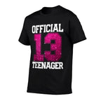 13th Birthday OFFICIAL TEENAGER 2012 13 Years Old  Trendy Pattern T-Shirt