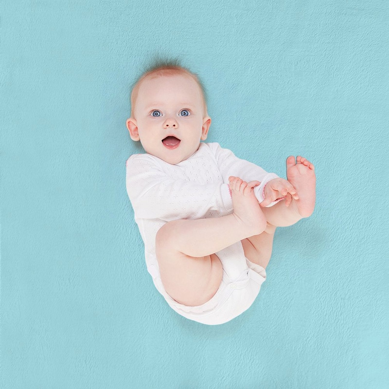 Little Red Dog Bed Durable Throw Blanket